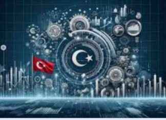 2025 Türkiye Ekonomisi ve Piyasalar Stratejisi – 2025-trkiye-ekonomisi-ve-piyasalar-stratejisi-paraanaliz