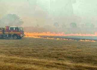 Avustralya Yangını: Singapur Büyüklüğünde Alan Küle Döndü – Haber ve Güncel Durum avustralya-yangn-singapur-byklnde-alan-kle-dnd-haber-ve-gncel-durum