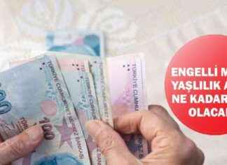 Engelli ve Yaşlılık Aylığı 2025’te Ne Kadar Olacak? – Ekonomi Haberleri engelli-ve-yallk-ayl-2025te-ne-kadar-olacak-ekonomi-haberleri