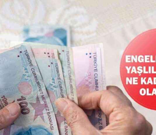 Engelli ve Yaşlılık Aylığı 2025’te Ne Kadar Olacak? – Ekonomi Haberleri engelli-ve-yallk-ayl-2025te-ne-kadar-olacak-ekonomi-haberleri