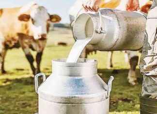 Mersinli Süt Üreticileri Çiğ Süt Fiyatlarından Memnuniyetsiz mersinli-st-reticileri-i-st-fiyatlarndan-memnuniyetsiz