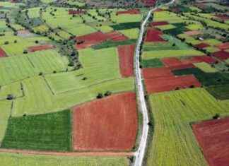 Tahıl Üretimi 2024’te Yüzde 7,5 Azaldı: Nedenleri ve Etkileri tahl-retimi-2024te-yzde-75-azald-nedenleri-ve-etkileri