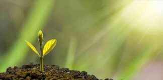 Yatırımcıların Sürdürülebilirlik Söylemleri ve Eylemleri Araştırması yatrmclarn-srdrlebilirlik-sylemleri-ve-eylemleri-aratrmas