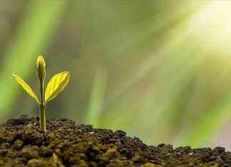 Yatırımcıların Sürdürülebilirlik Söylemleri ve Eylemleri Araştırması yatrmclarn-srdrlebilirlik-sylemleri-ve-eylemleri-aratrmas