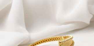 Ajda Bilezik: Tarihçesi ve Günümüzdeki Yeri