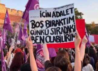 2024’te Kadın Cinayetleri ve Şüpheli Kadın Ölümleri Rekor Seviyede – İncelemesi 2024te-kadn-cinayetleri-ve-pheli-kadn-lmleri-rekor-seviyede-paraanaliz-incelemesi