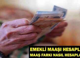 2025 Emekli Maaşı Hesaplama: Maaş Farkı Nasıl Hesaplanır? 2025-emekli-maa-hesaplama-maa-fark-nasl-hesaplanr