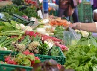 Aralık Ayı Fiyat Gelişmeleri Raporu: Yıllık Enflasyon Gıdada Geriledi aralk-ay-fiyat-gelimeleri-raporu-yllk-enflasyon-gdada-geriledi