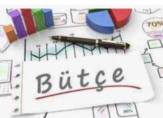 Bütçe Açığı: Kamu Zararı ve Etkileri – bte-a-kamu-zarar-ve-etkileri-paraanaliz