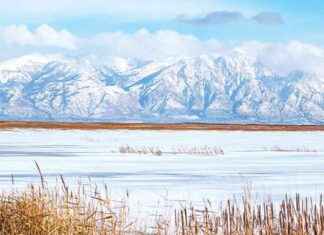 Büyük Tuz Gölü: Tarımsal Faaliyet Tehlikesi ve Korunma Yolları byk-tuz-gl-tarmsal-faaliyet-tehlikesi-ve-korunma-yollar
