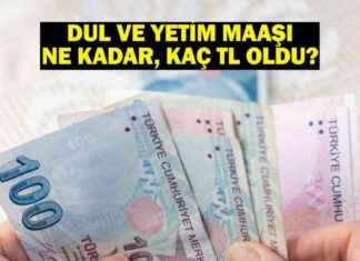 Dul ve Yetim Maaşı Ne Kadar? Yeni ve Zamlı Aylık Miktarı! – Ekonomi Haberleri dul-ve-yetim-maa-ne-kadar-yeni-ve-zaml-aylk-miktar-ekonomi-haberleri