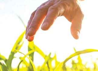 Eşit-siz Sera Gazı Politikası ve Ekonomik Etkileri eit-siz-sera-gaz-politikas-ve-ekonomik-etkileri