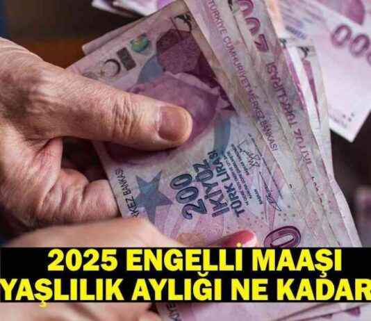 Engelli ve Yaşlılık Aylığı Ne Kadar Olacak? – Son Dakika Ekonomi Haberleri engelli-ve-yallk-ayl-ne-kadar-olacak-son-dakika-ekonomi-haberleri
