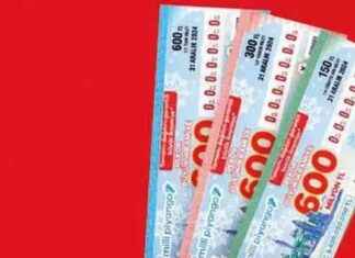 Hızlı Bilet Sorgulama: Milli Piyango Yılbaşı Büyük İkramiye Hangi İle Çıktı? hzl-bilet-sorgulama-milli-piyango-ylba-byk-ikramiye-hangi-ile-kt