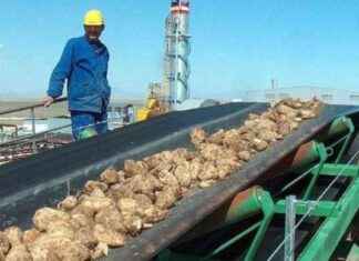 ÖİB onayladı: Iğdır Şeker Fabrikası satışı hakkında detaylar ib-onaylad-dr-eker-fabrikas-sat-hakknda-detaylar