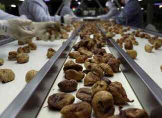 İhracat İadesi Ürünlerin İmha Edilip Edilmediği Araştırılıyor: CHP’li Gürer Soruşturuyor ihracat-iadesi-rnlerin-imha-edilip-edilmedii-aratrlyor-chpli-grer-soruturuyor