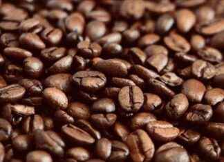 Kahve Fiyatları Tarihi Zirvede: Libre Fiyatı 3,55 Dolara Ulaştı kahve-fiyatlar-tarihi-zirvede-libre-fiyat-355-dolara-ulat