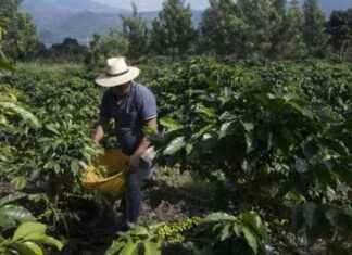 Kahve Fiyatları ve Trump Etkisi: Analiz ve Öngörüler kahve-fiyatlar-ve-trump-etkisi-analiz-ve-ngrler