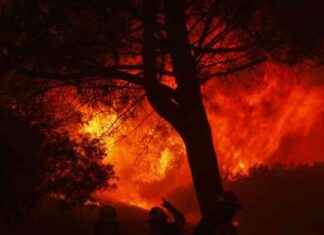 Los Angeles Yangınları: Maliyet Yükseliyor ve Etkileri Artıyor los-angeles-yangnlar-maliyet-ykseliyor-ve-etkileri-artyor