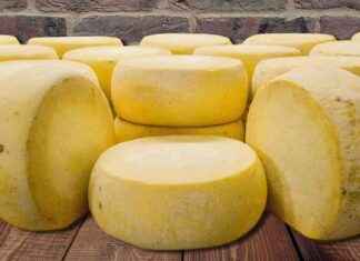 Malkara Eski Kaşarı AB Coğrafi İşaret Tescili Başvurusu malkara-eski-kaar-ab-corafi-iaret-tescili-bavurusu