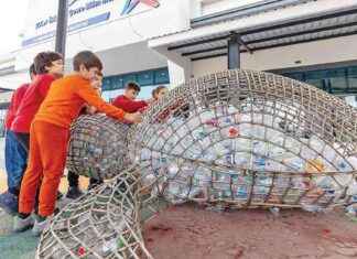 Mavi Kapağı Saksıya Dönüştürme Yöntemleri mavi-kapa-saksya-dntrme-yntemleri