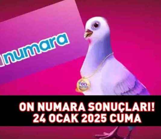 On Numara Sonuçları ve Sonuç Sorgulama Ekranı – 24 Ocak 2025 on-numara-sonular-ve-sonu-sorgulama-ekran-24-ocak-2025