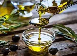 Türkiye Zeytin Üretimi 2024: Cumhuriyet Tarihi Rekoru Kırıldı trkiye-zeytin-retimi-2024-cumhuriyet-tarihi-rekoru-krld