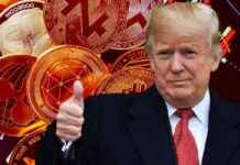 TRUMP Meme Coin Piyasaları Etkisi – İslam Memiş Yorumu trump-meme-coin-piyasalar-etkisi-islam-memi-yorumu