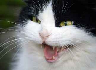 AKCNS AKCANSA Hisse Bilgileri, Teknik ve Temel Analizi AKCNSAKCANSA Hisse Bilgileri, Teknik ve Temel Analizi