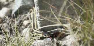 AKFGY AKFEN GMYO Hisse Bilgileri, Teknik ve Temel Analizi AKFGYAKFEN GMYO Hisse Bilgileri, Teknik ve Temel Analizi