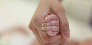 ALARK ALARKO HOLDING Hisse Bilgileri, Teknik ve Temel Analizi ALARKALARKO HOLDING Hisse Bilgileri, Teknik ve Temel Analizi