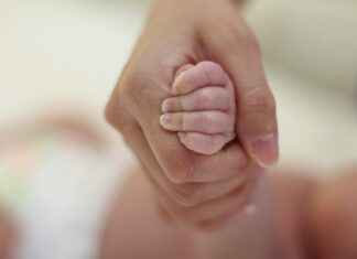 ALARK ALARKO HOLDING Hisse Bilgileri, Teknik ve Temel Analizi ALARKALARKO HOLDING Hisse Bilgileri, Teknik ve Temel Analizi