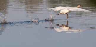 ALCAR ALARKO CARRIER Hisse Bilgileri, Teknik ve Temel Analizi ALCARALARKO CARRIER Hisse Bilgileri, Teknik ve Temel Analizi