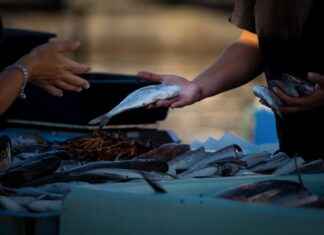 ALKIM ALKIM KİMYA Hisse Bilgileri, Teknik ve Temel Analizi ALKIMALKIM KİMYA Hisse Bilgileri, Teknik ve Temel Analizi