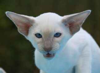 ALTNY ALTINAY SAVUNMA Hisse Bilgileri, Teknik ve Temel Analizi ALTNYALTINAY SAVUNMA Hisse Bilgileri, Teknik ve Temel Analizi