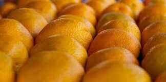 ARASE DOGU ARAS ENERJI Hisse Bilgileri, Teknik ve Temel Analizi ARASEDOGU ARAS ENERJI Hisse Bilgileri, Teknik ve Temel Analizi