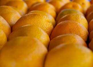 ARASE DOGU ARAS ENERJI Hisse Bilgileri, Teknik ve Temel Analizi ARASEDOGU ARAS ENERJI Hisse Bilgileri, Teknik ve Temel Analizi