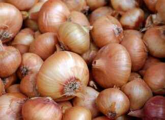 ARMGD ARMADA GIDA Hisse Bilgileri, Teknik ve Temel Analizi ARMGDARMADA GIDA Hisse Bilgileri, Teknik ve Temel Analizi