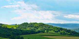 AVOD A.V.O.D GIDA VE TARIM Hisse Bilgileri, Teknik ve Temel Analizi AVODA.V.O.D GIDA VE TARIM Hisse Bilgileri, Teknik ve Temel Analizi