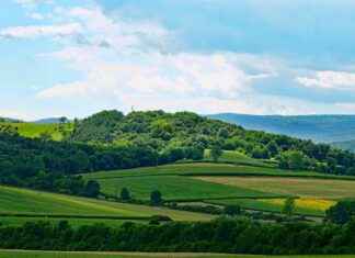 AVOD A.V.O.D GIDA VE TARIM Hisse Bilgileri, Teknik ve Temel Analizi AVODA.V.O.D GIDA VE TARIM Hisse Bilgileri, Teknik ve Temel Analizi