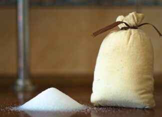 BALSU – BALSU GIDA Hisse Bilgileri, Teknik ve Temel Analizi BALSUBALSU GIDA Hisse Bilgileri, Teknik ve Temel Analizi