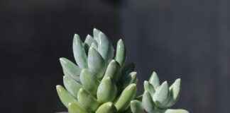 BASCM – BASTAS BASKENT CIMENTO Hisse Bilgileri, Teknik ve Temel Analizi BASCMBASTAS BASKENT CIMENTO Hisse Bilgileri, Teknik ve Temel Analizi