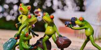 BİZİM – BİZİM MAGAZALARI Hisse Bilgileri, Teknik ve Temel Analizi BİZİMBİZİM MAGAZALARI Hisse Bilgileri, Teknik ve Temel Analizi