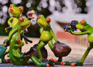 BİZİM – BİZİM MAGAZALARI Hisse Bilgileri, Teknik ve Temel Analizi BİZİMBİZİM MAGAZALARI Hisse Bilgileri, Teknik ve Temel Analizi