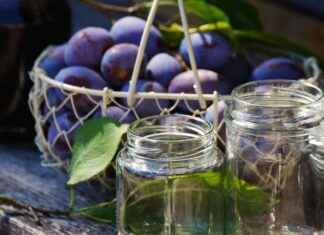 BMSTL – BMS BİRLEŞİK METAL Hisse Bilgileri, Teknik ve Temel Analizi BMSTLBMS BİRLEŞİK METAL Hisse Bilgileri, Teknik ve Temel Analizi