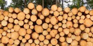 BORLS – BORLEASE OTOMOTIV Hisse Bilgileri, Teknik ve Temel Analizi BORLSBORLEASE OTOMOTIV Hisse Bilgileri, Teknik ve Temel Analizi