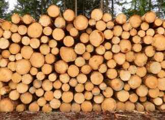 BORLS – BORLEASE OTOMOTIV Hisse Bilgileri, Teknik ve Temel Analizi BORLSBORLEASE OTOMOTIV Hisse Bilgileri, Teknik ve Temel Analizi