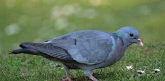 BURCE – BURCELIK Hisse Bilgileri, Teknik ve Temel Analizi BURCEBURCELIK Hisse Bilgileri, Teknik ve Temel Analizi