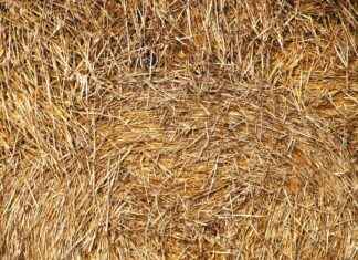 CASA – CASA EMTIA PETROL Hisse Bilgileri, Teknik ve Temel Analizi CASACASA EMTIA PETROL Hisse Bilgileri, Teknik ve Temel Analizi