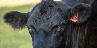 EGPRO – EGE PROFIL Hisse Bilgileri, Teknik ve Temel Analizi EGPROEGE PROFIL Hisse Bilgileri, Teknik ve Temel Analizi